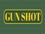 Gun Shoot HD